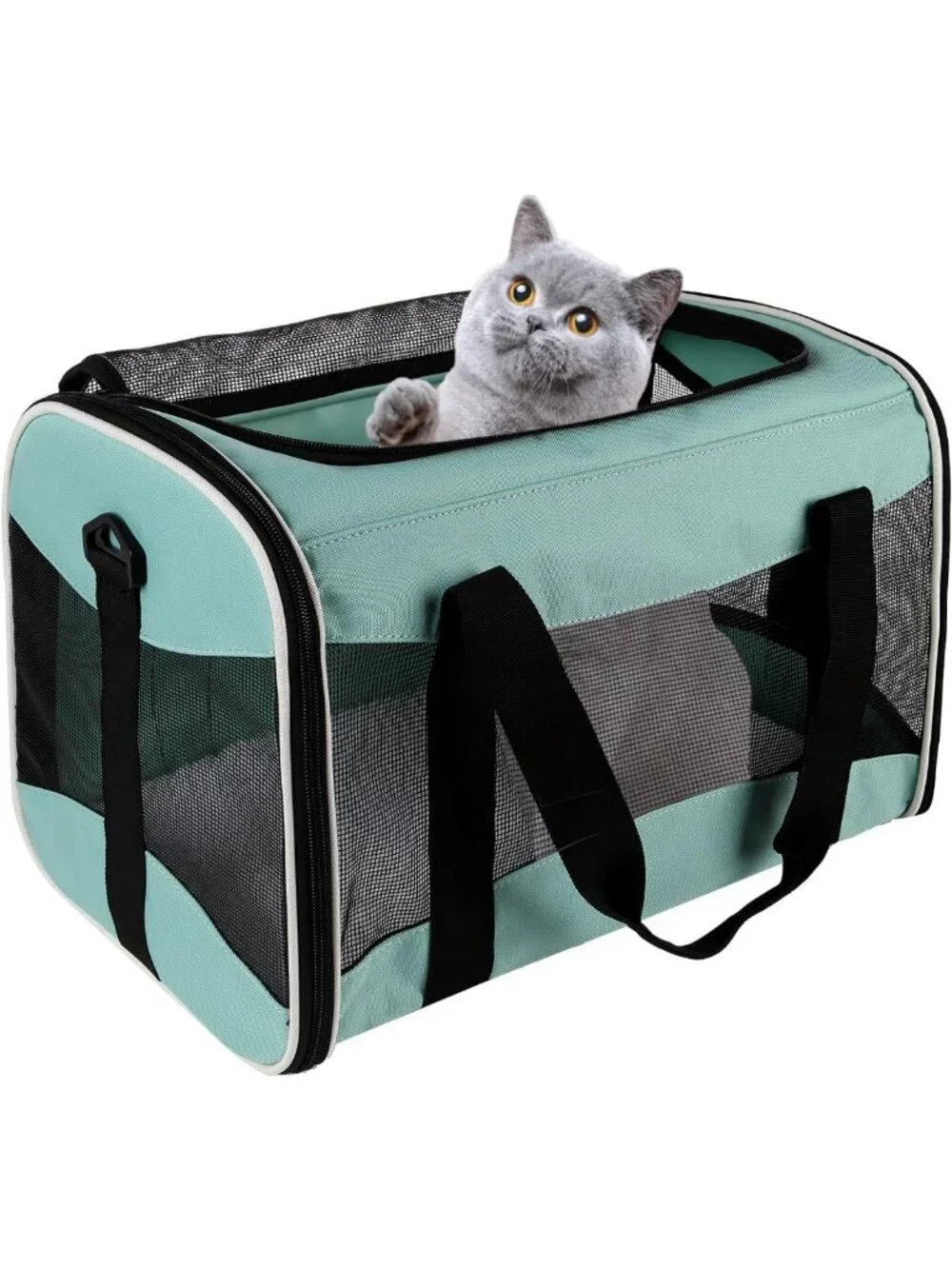 Soft-Sided Pet Carrier for Cats & Small Dogs, TSA Approved, Collapsible Travel